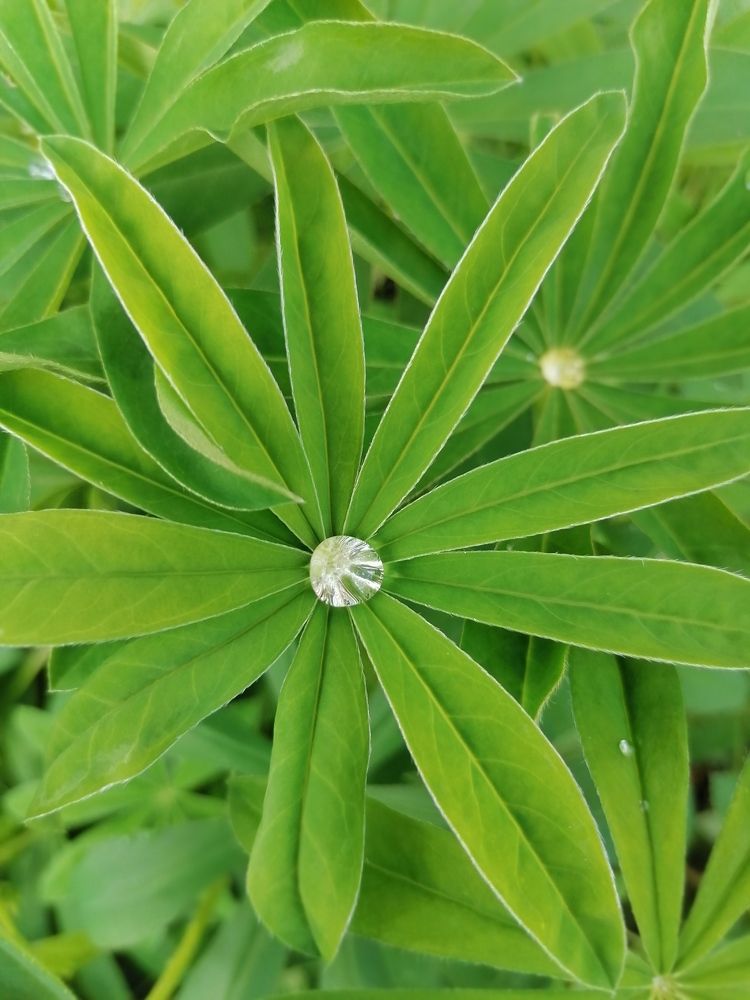 Photograph by Татьяна Бешенкина