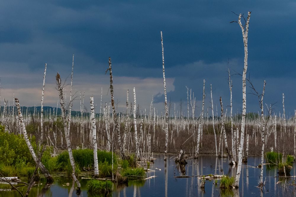 Затишье перед бурей.