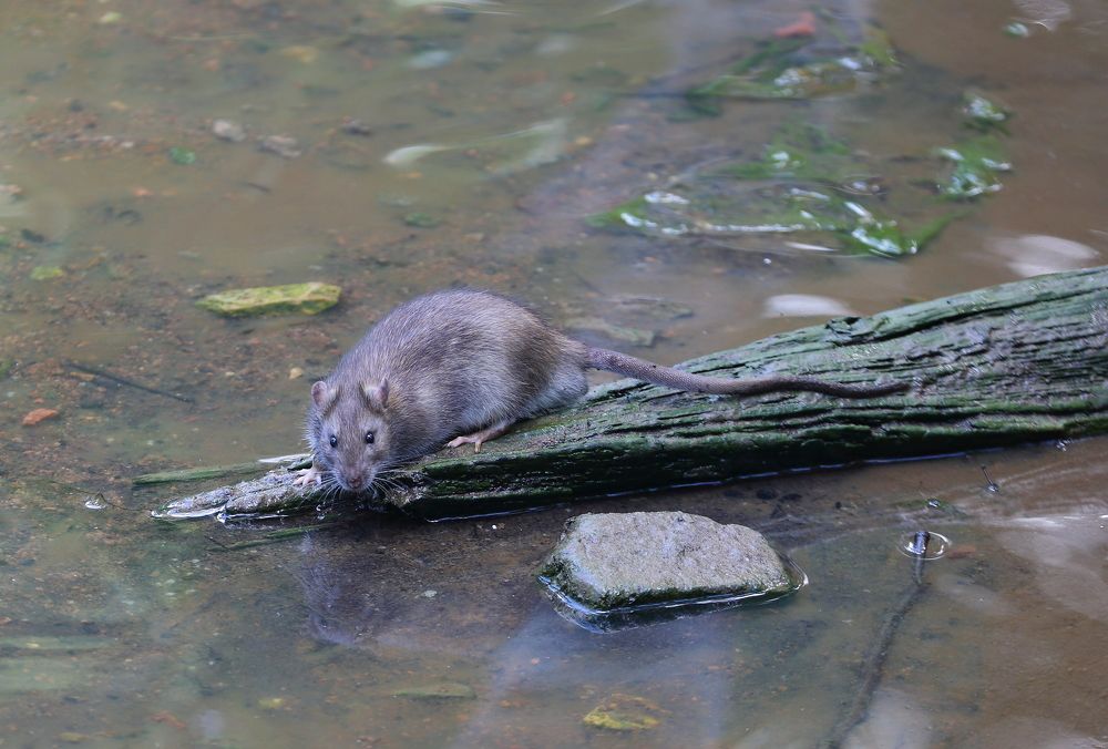 Photograph by Станислав Вершинин