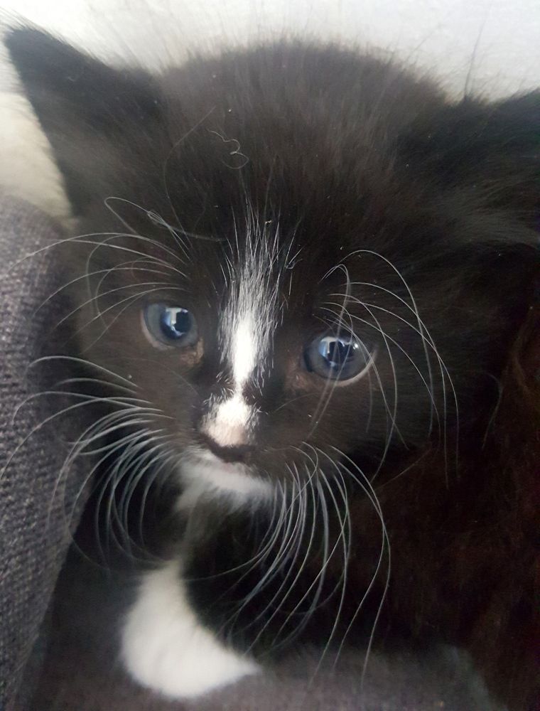 Фотография автора Rasa Zdaniene