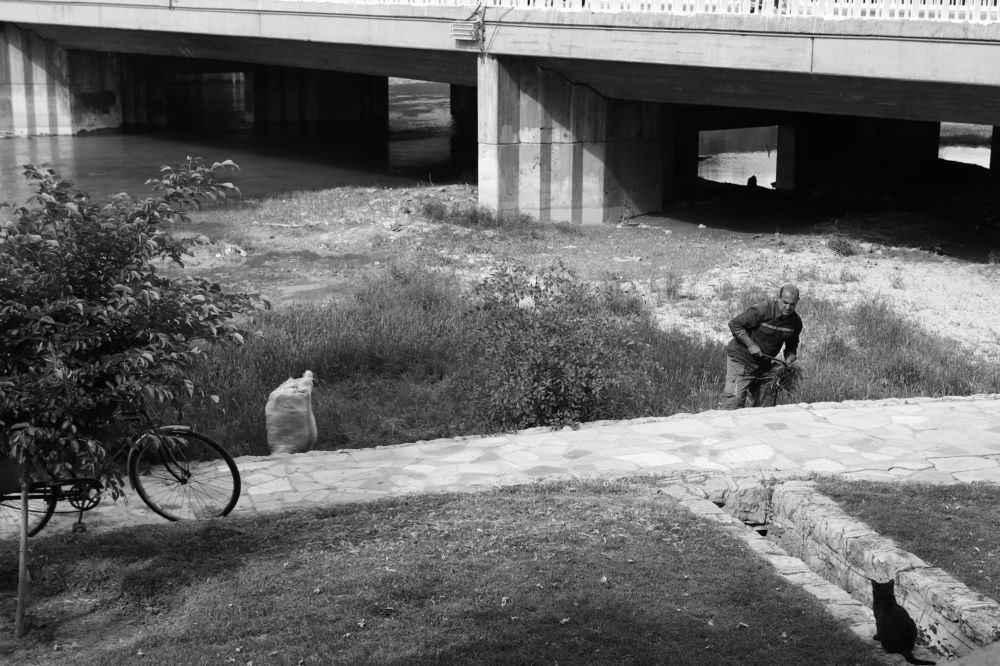 Photograph by pooya hajirahimi