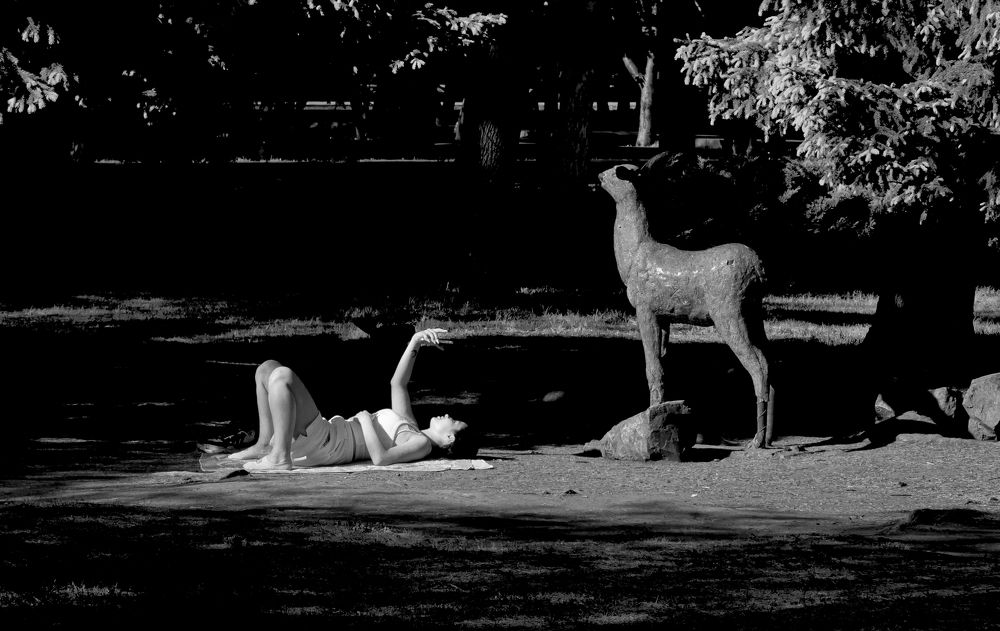 Фотография автора Максим Грибанов