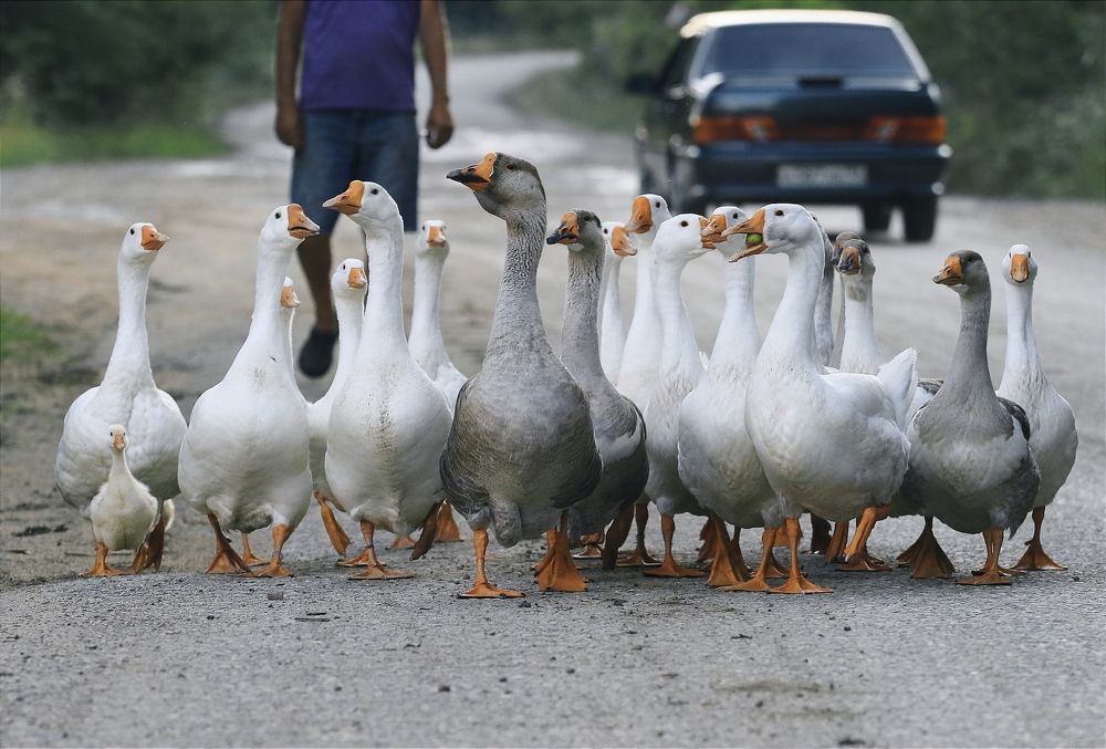 Photograph by Татьяна Исаева