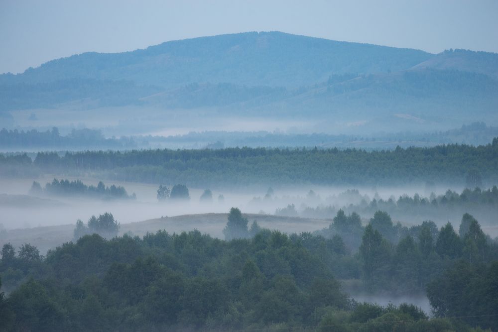 Photograph by Дмитрий Жучков