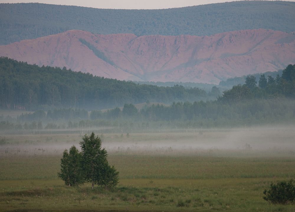 Photograph by Дмитрий Жучков