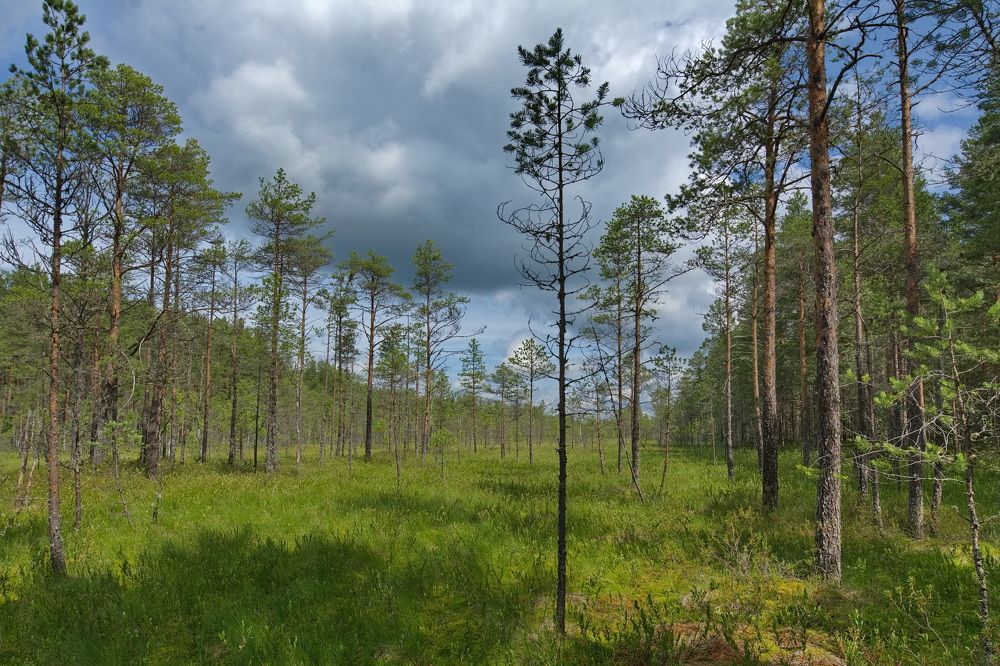 Photograph by Юрий Митенёв