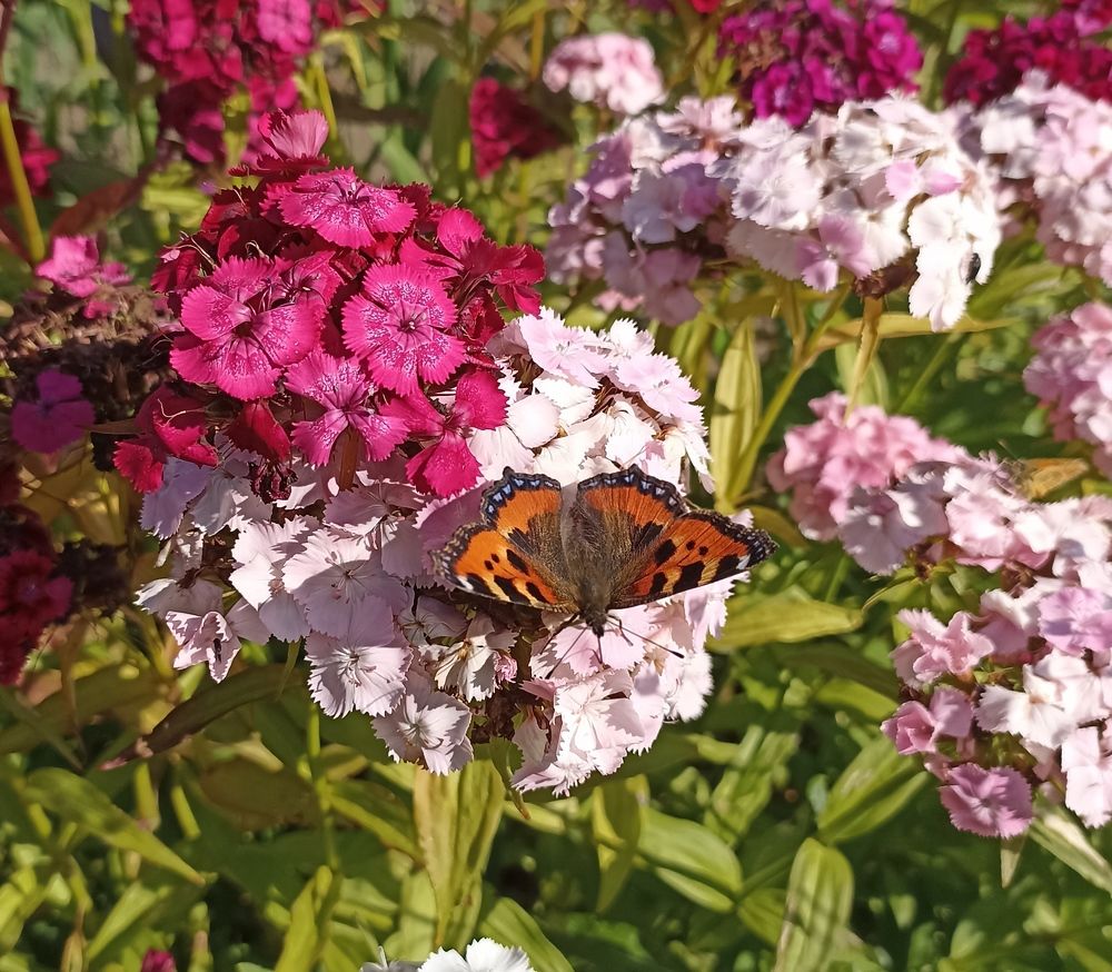 Photograph by Анна Виноградова