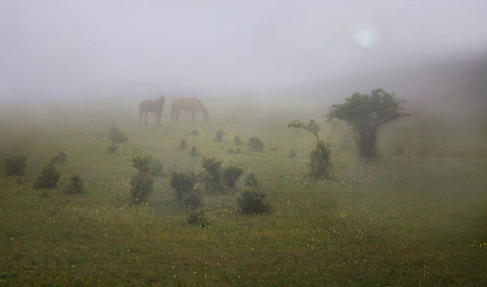 Photograph by Виктор Смирнов
