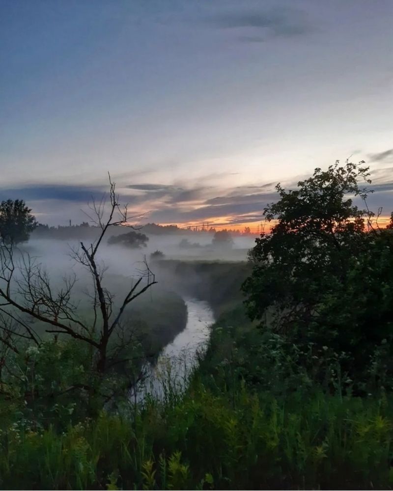 Летний туман