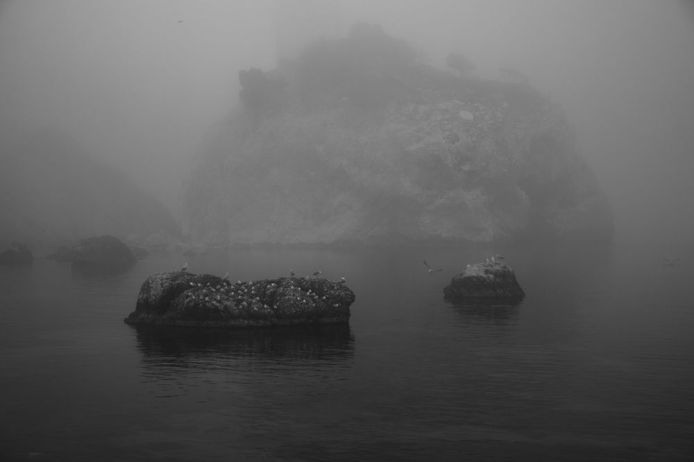 Photograph by ALIYE RAHSAN KARABETCA