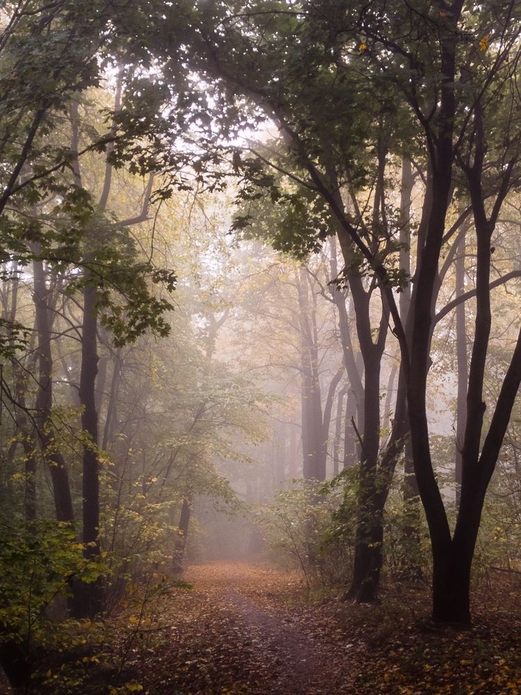 Photograph by Kaiser Sozo