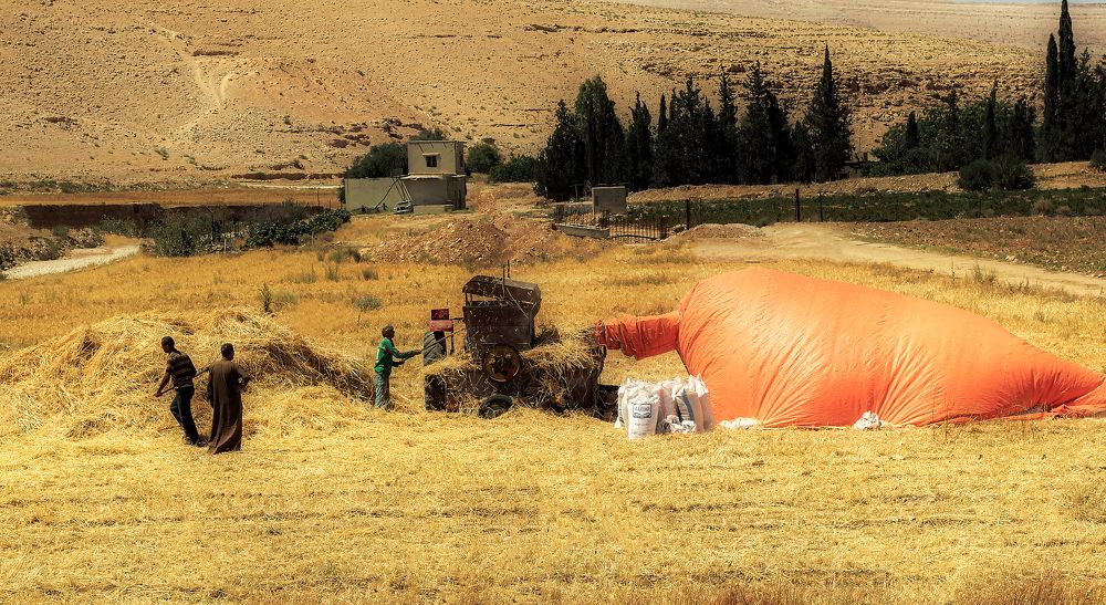 Photograph by Ali Abu Ras