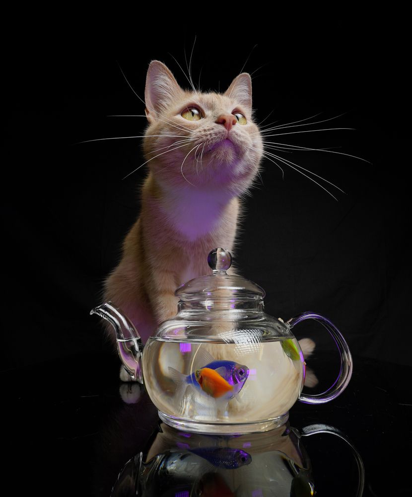 Photograph by Nikolay Nikolaev