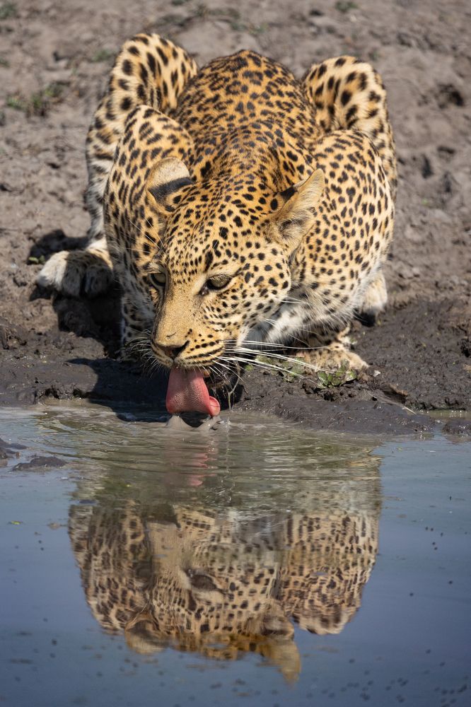 Photograph by Raquel Barao