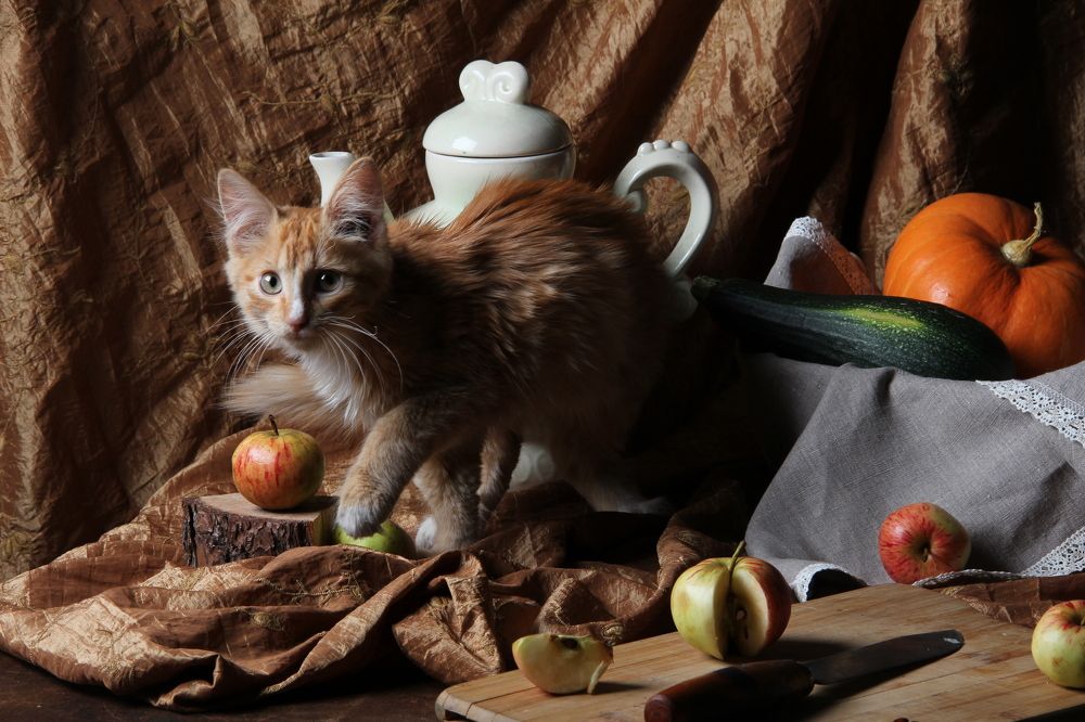 Photograph by Валентина