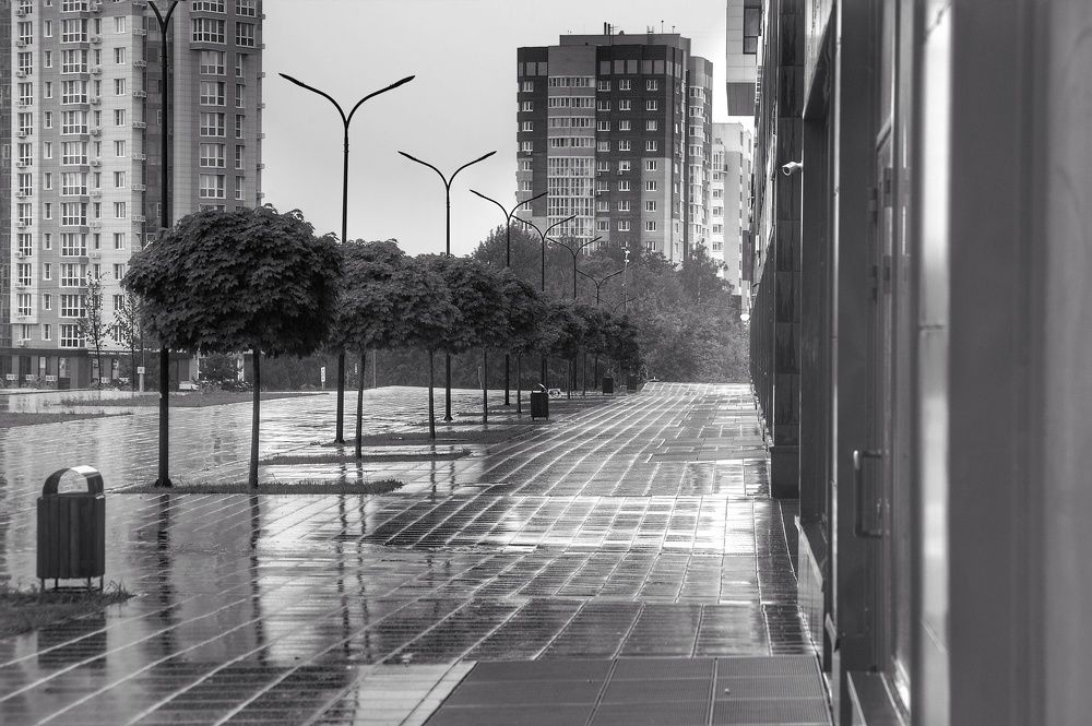 Photograph by Алексей Власов