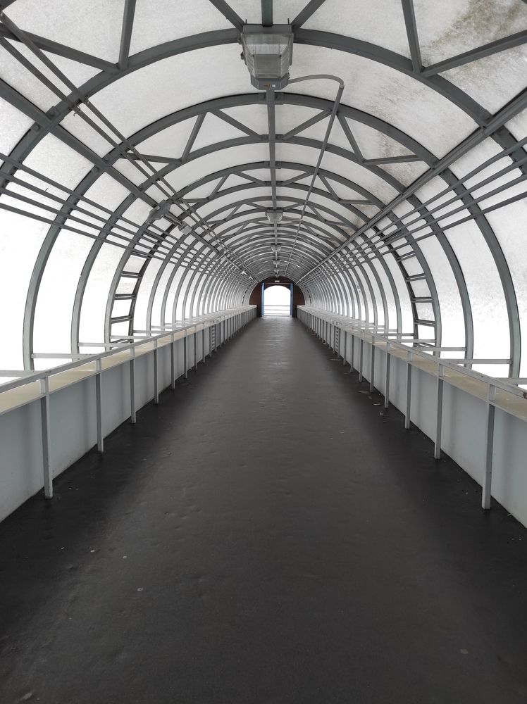 Photograph by Marina Moreva