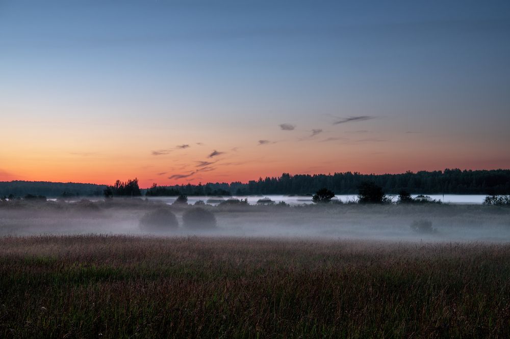 Photograph by Третьякова Анастасия