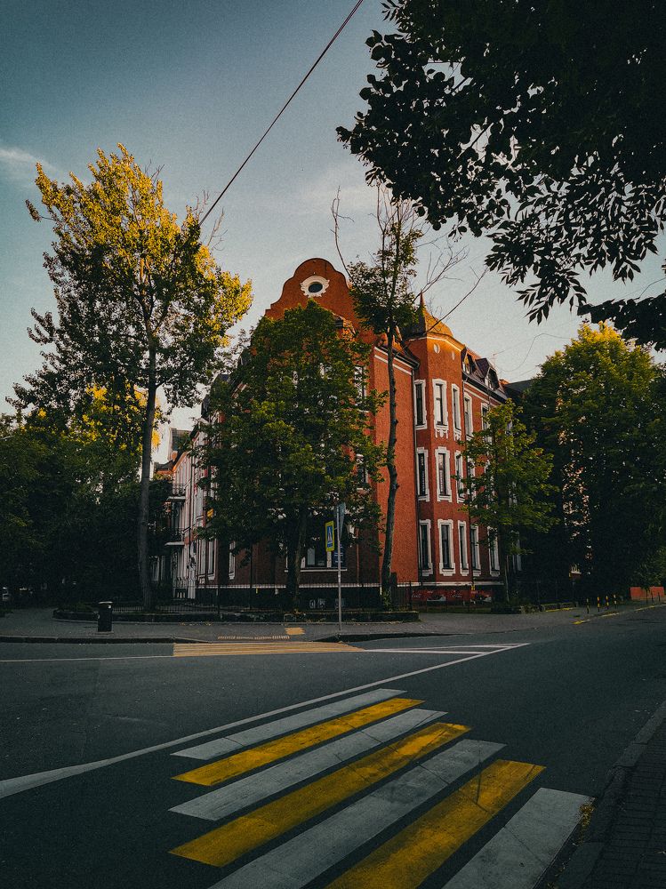 Photograph by Света