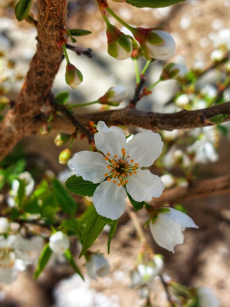 Фотография автора Neda Naserdost