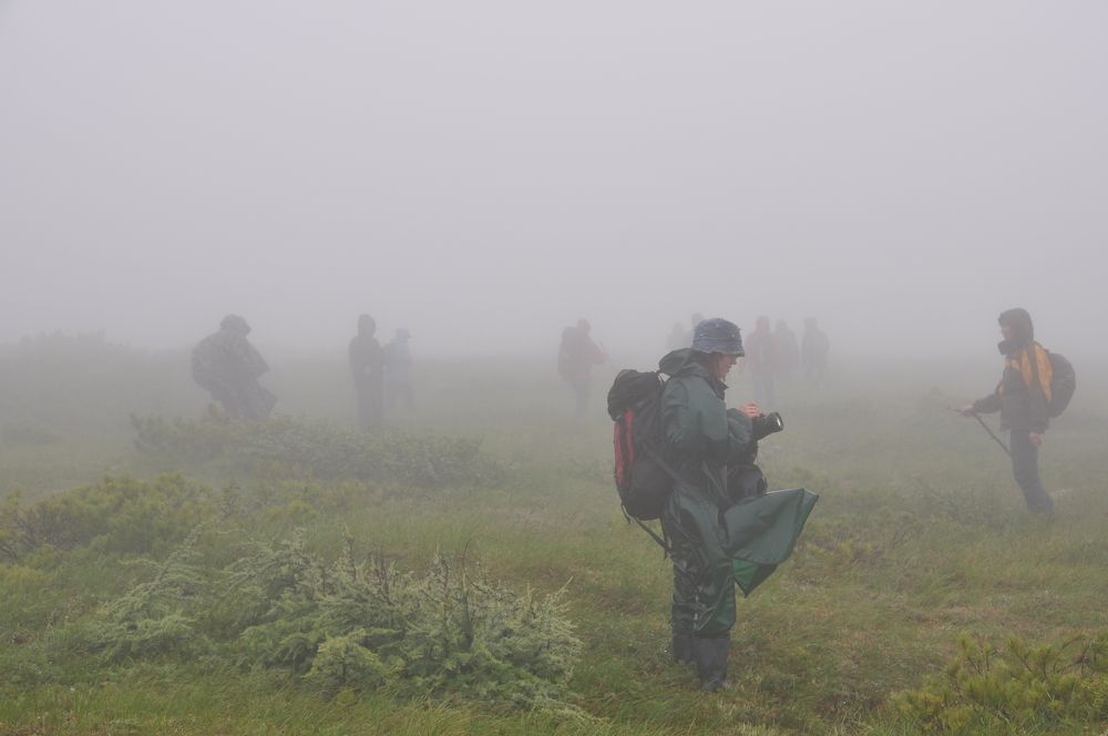 Photograph by Евгений Захаров