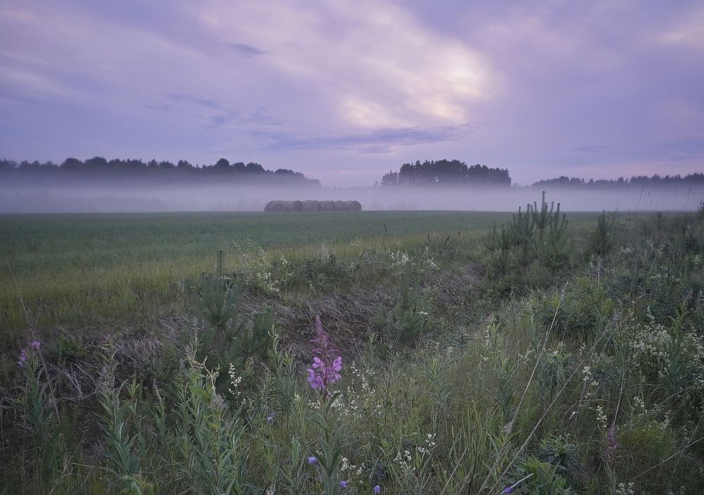 Photograph by Марина Безенкина