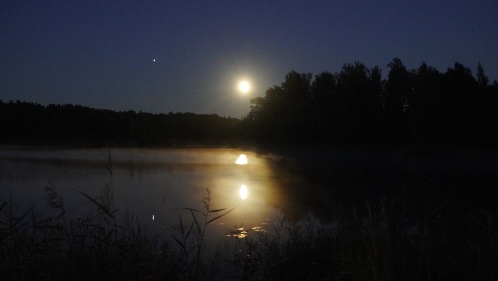 Photograph by Марина Безенкина