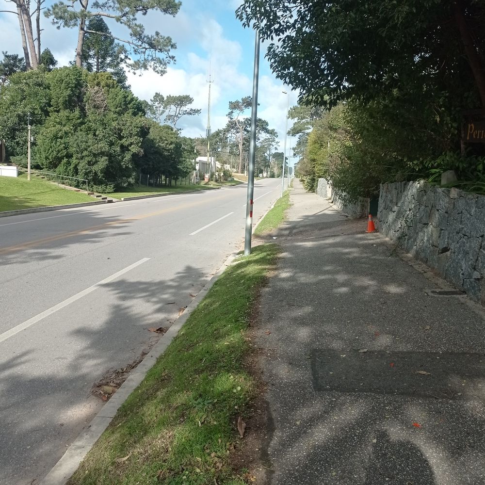 Photograph by Irene Gordillo