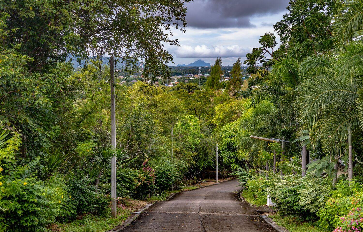 Фотография #9314632