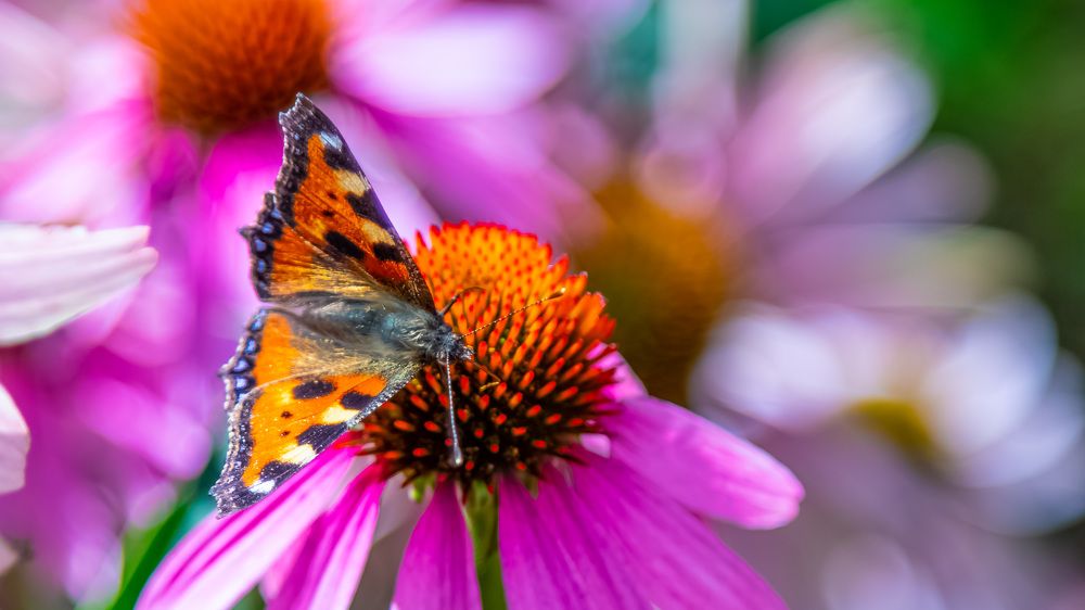 Photograph by Андрей Калинин