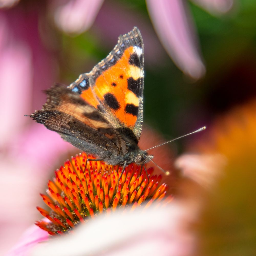 Photograph by Андрей Калинин