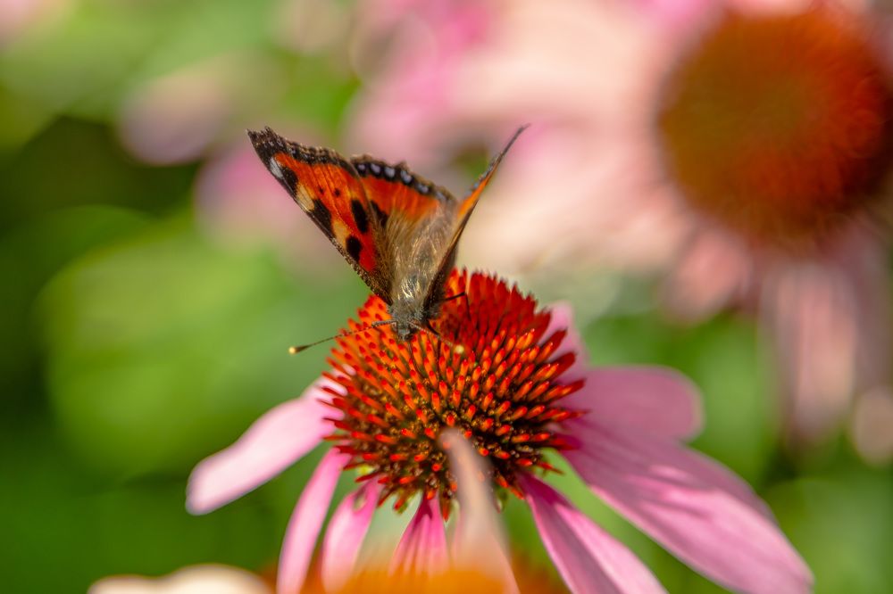 Photograph by Андрей Калинин