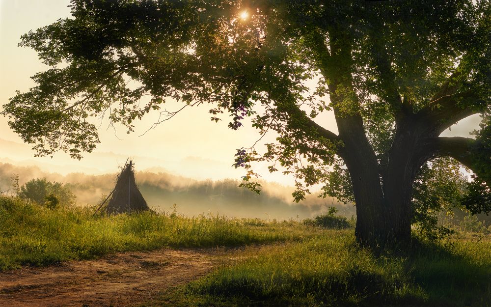 Photograph by Наталья Лабодина