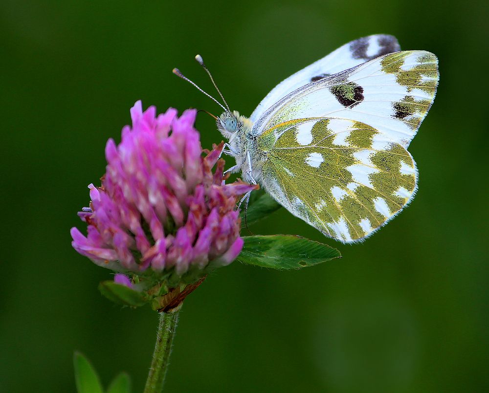 Photograph by Зоя Быкова