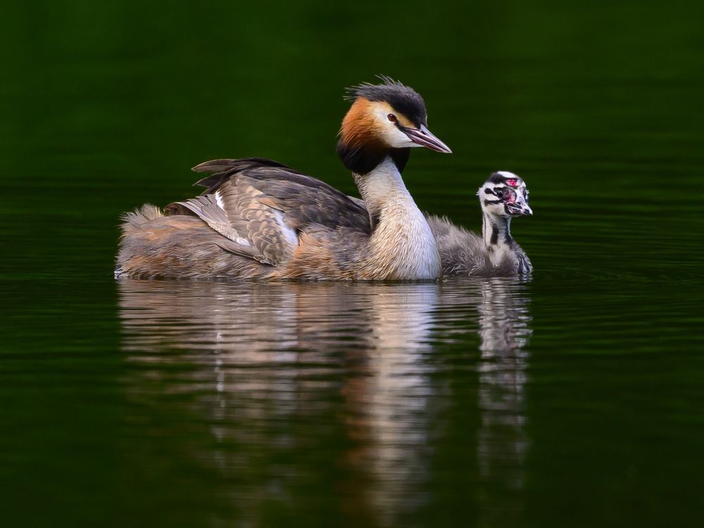 Photograph by Sergey Puponin