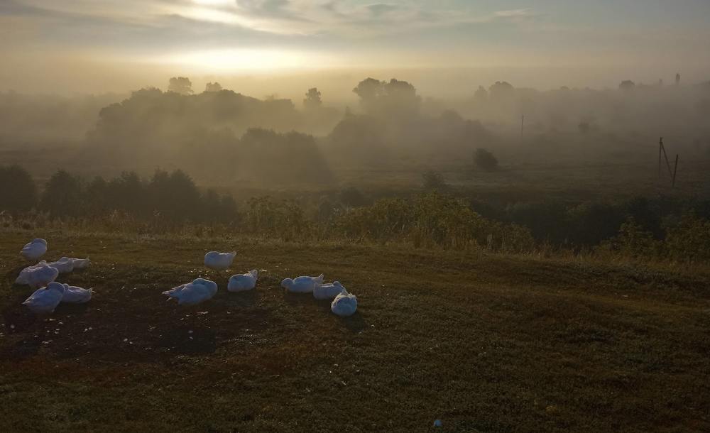 Photograph by Людмила Желтова