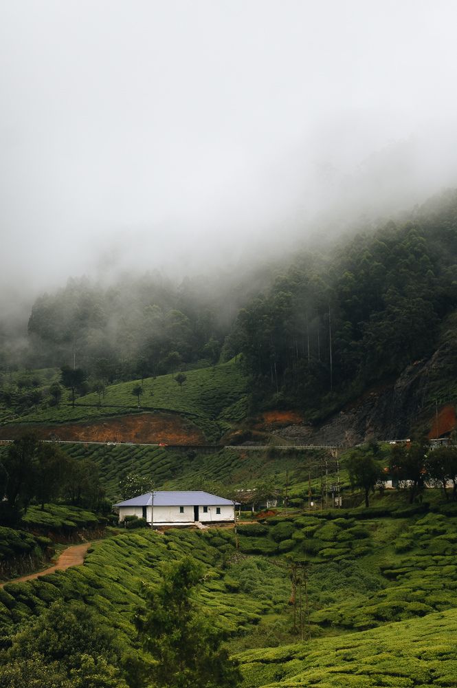 Photograph by VASANTH PRABHU RAJAN