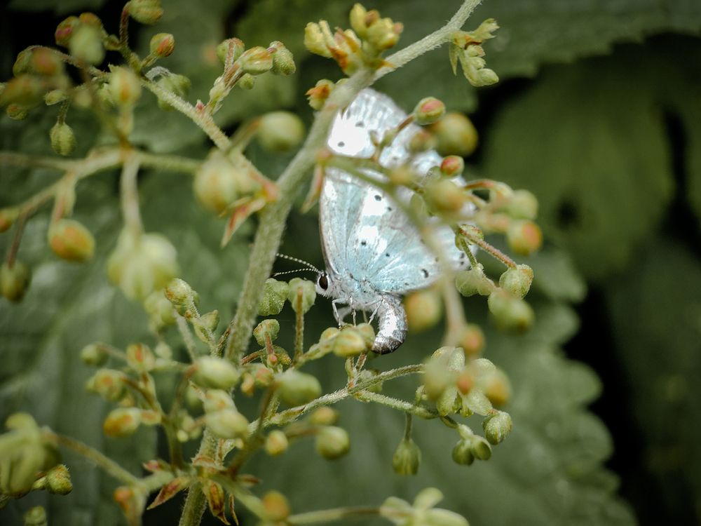Photograph by Остап Благодатков