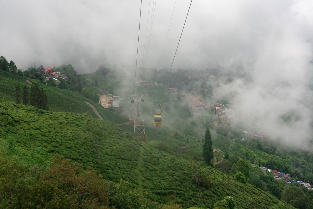 Photograph by Vivek Prasad