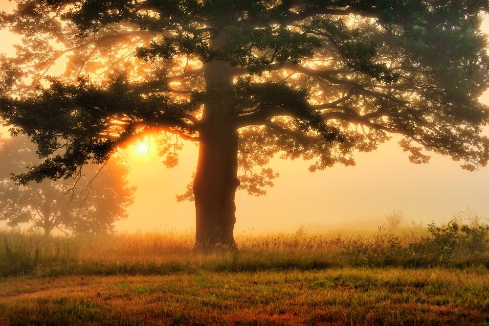 Photograph by Maciej Wydmuch