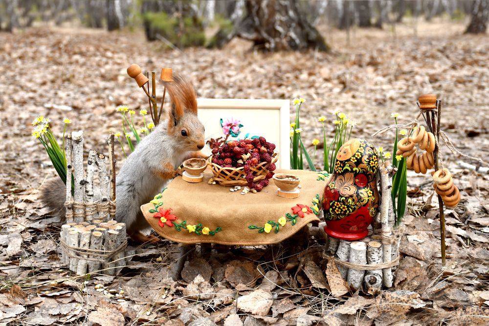 Белочкины именины