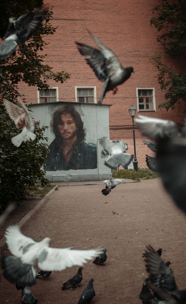 Photograph by Николай Спевак