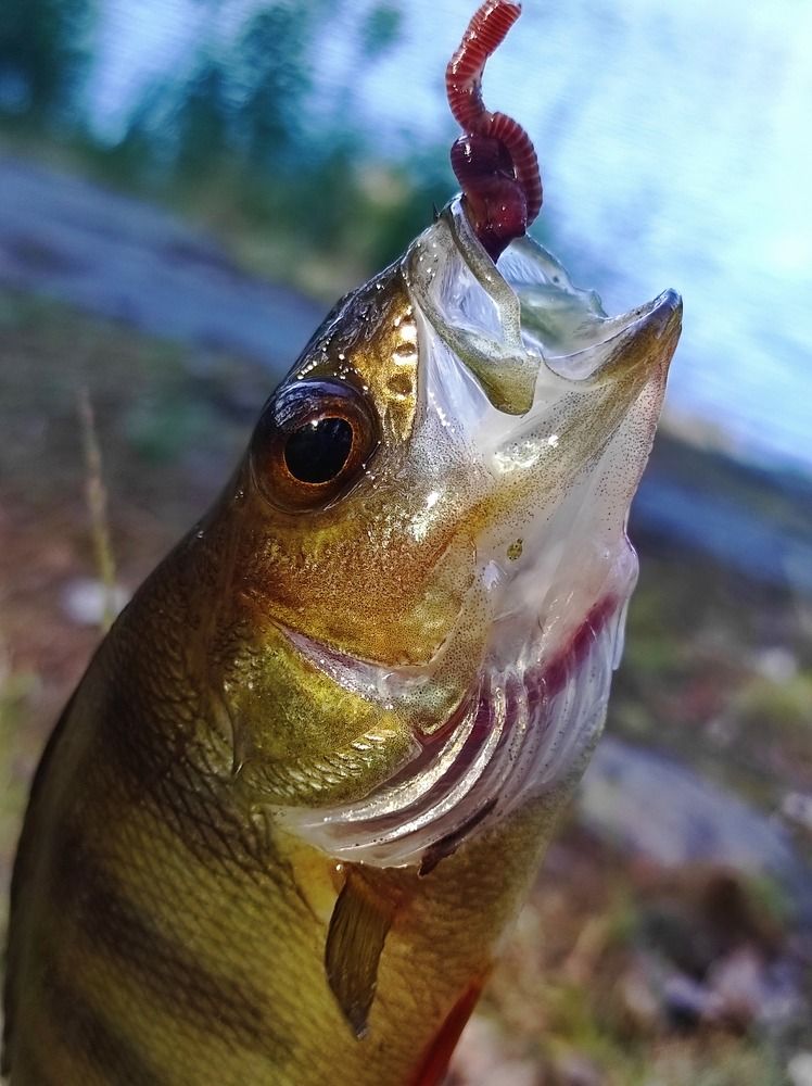 Photograph by ОЛЬГА АФАНАСЬЕВА