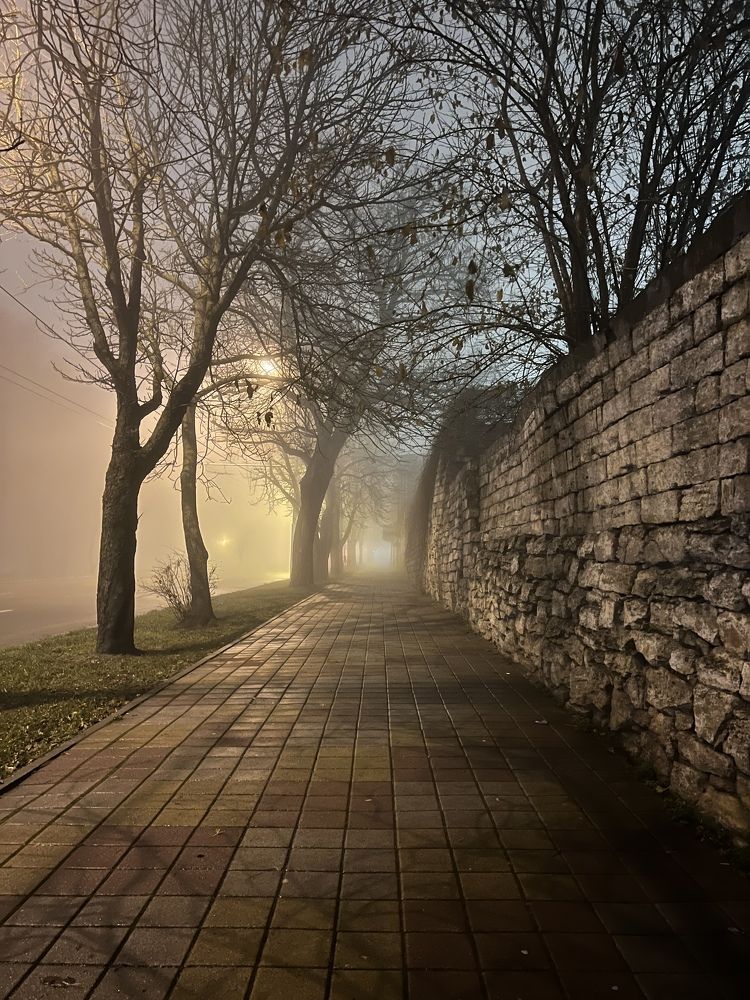 Photograph by Лариса