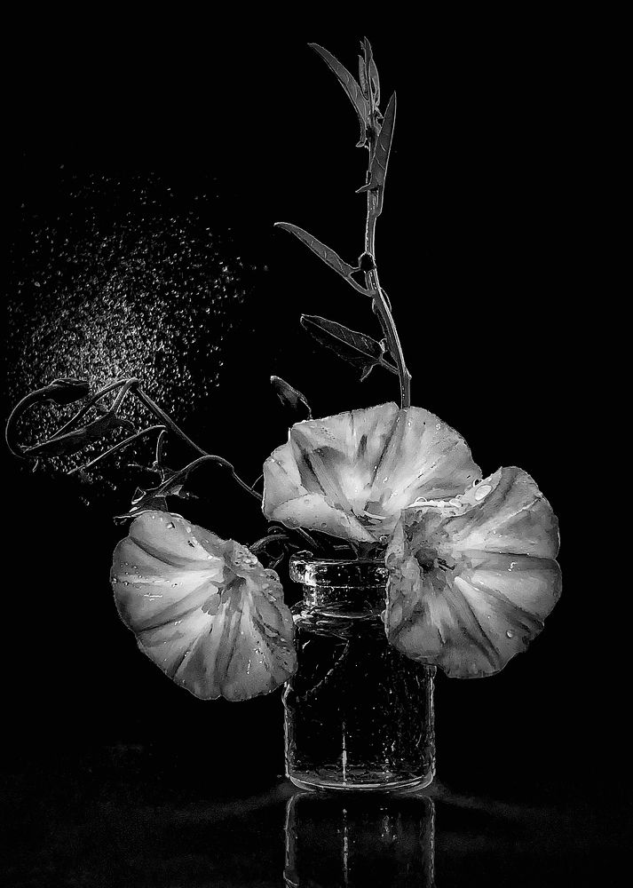 Photograph by Надежда Смирнова