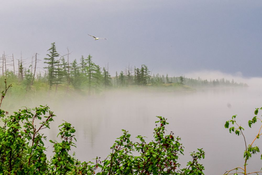 Photograph by Александр Кеслер