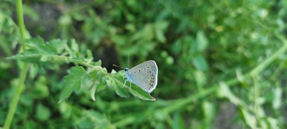 Photograph by Umida Yusupova