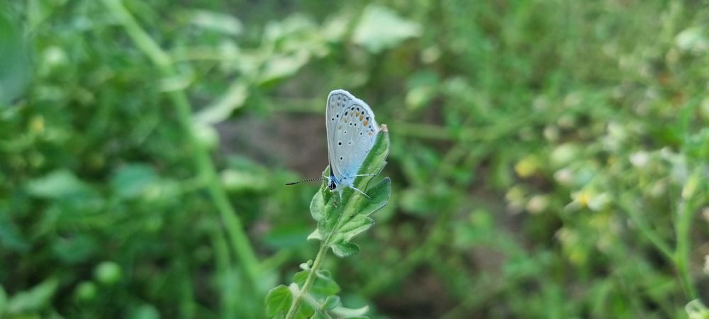 Photograph by Umida Yusupova