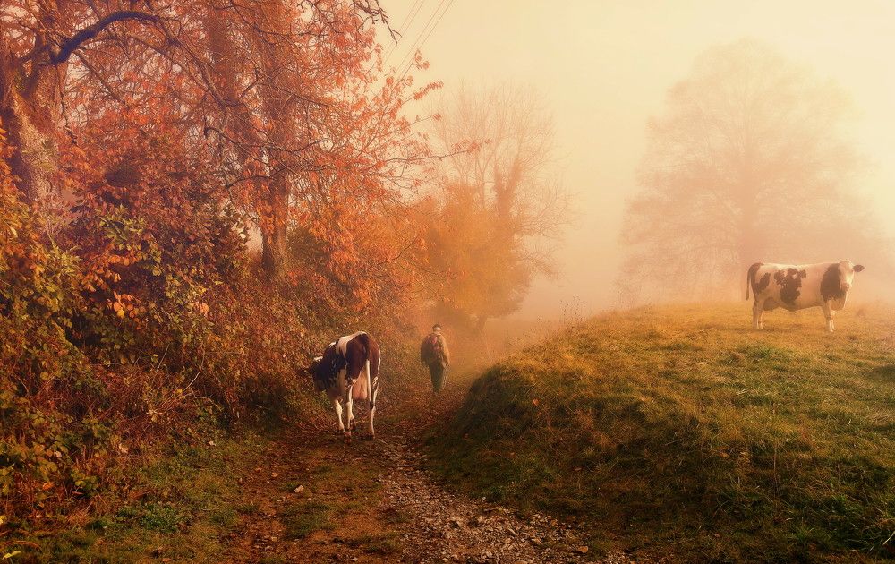 Photograph by Elena Wymann