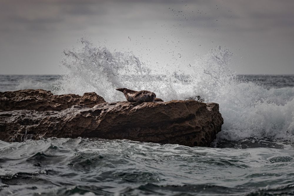 Photograph by Austin